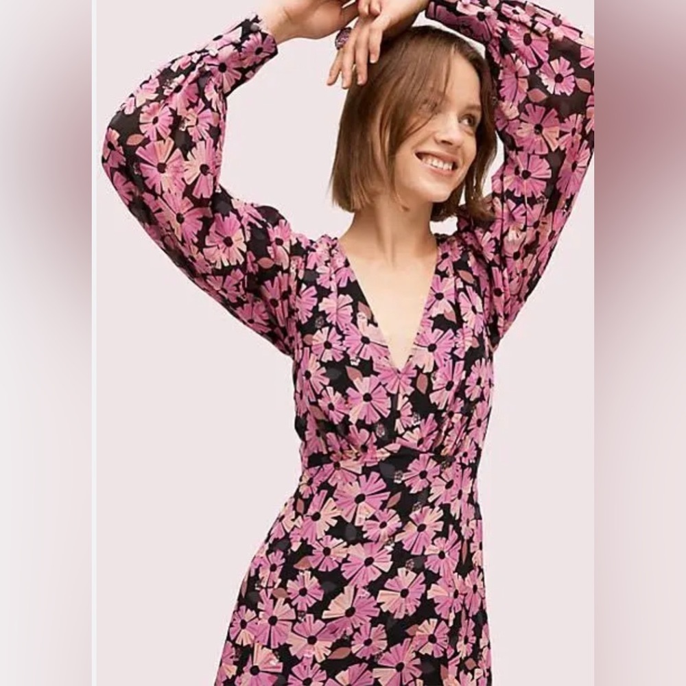 Kate spade wallflower chiffon dress